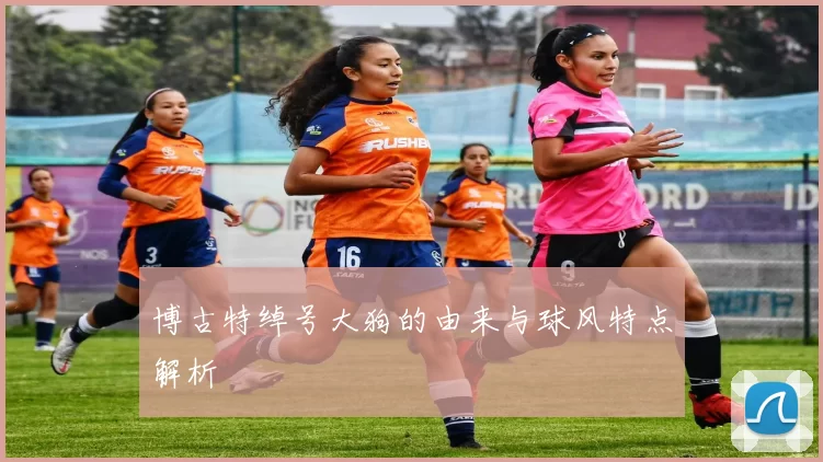 博古特绰号大狗的由来与球风特点解析