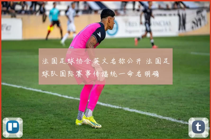 法国足球协会英文名称公开 法国足球队国际赛事传播统一命名明确