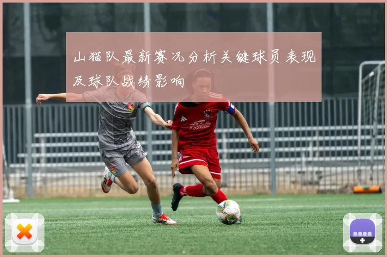 山猫队最新赛况分析关键球员表现及球队战绩影响