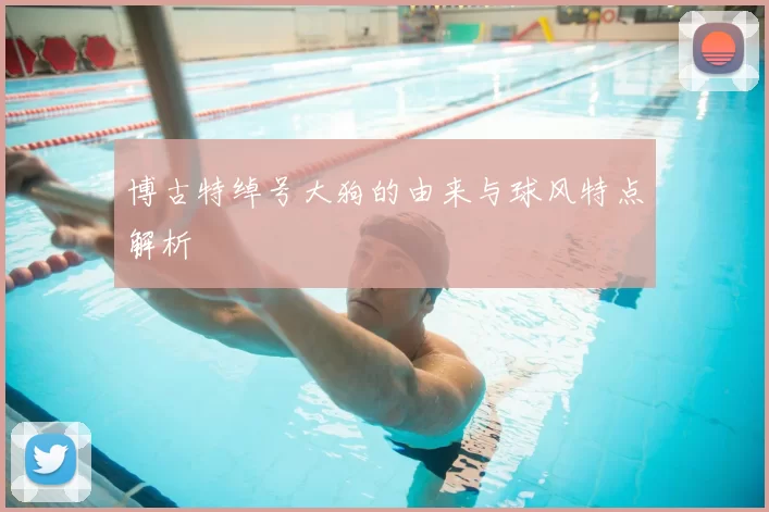 博古特绰号大狗的由来与球风特点解析