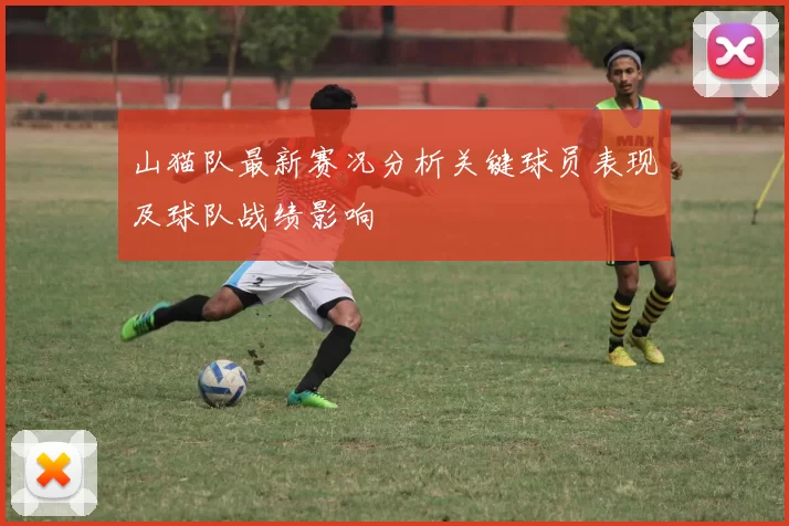 山猫队最新赛况分析关键球员表现及球队战绩影响