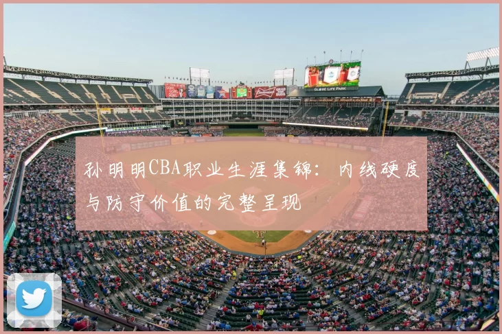 孙明明CBA职业生涯集锦:内线硬度与防守价值的完整呈现