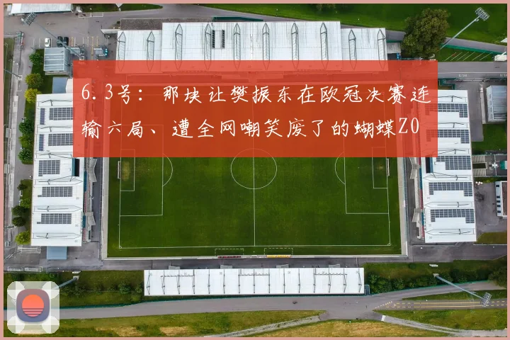6.3号：那块让樊振东在欧冠决赛连输六局、遭全网嘲笑废了的蝴蝶Z03胶皮_比赛_贾哈_尹航