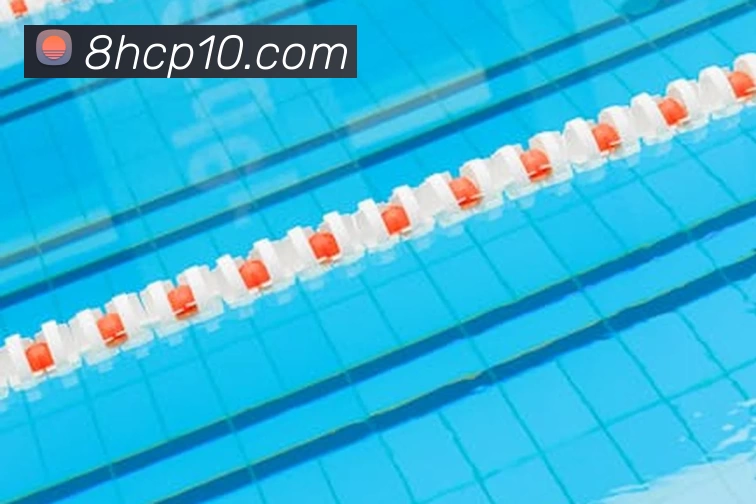 博亚体育app官网入口平台生态图