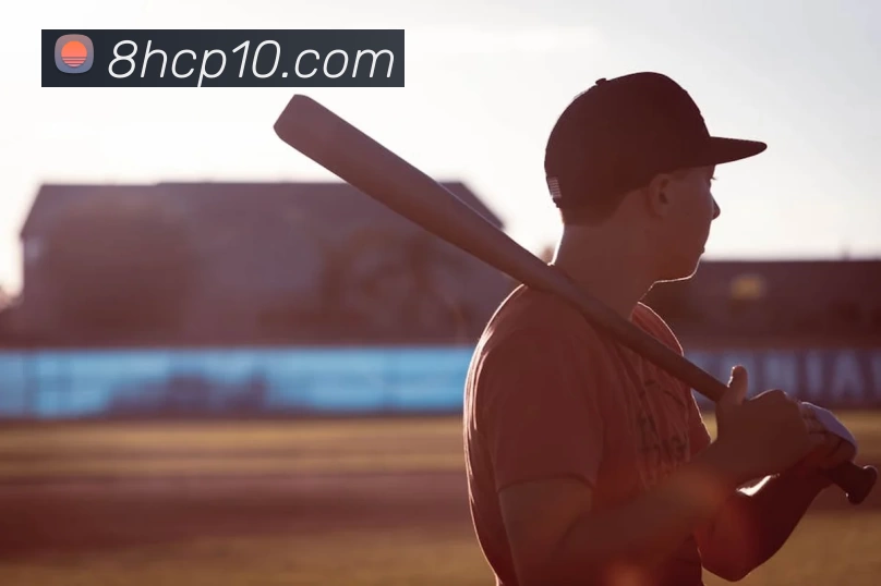 博亚体育app官网入口全站App